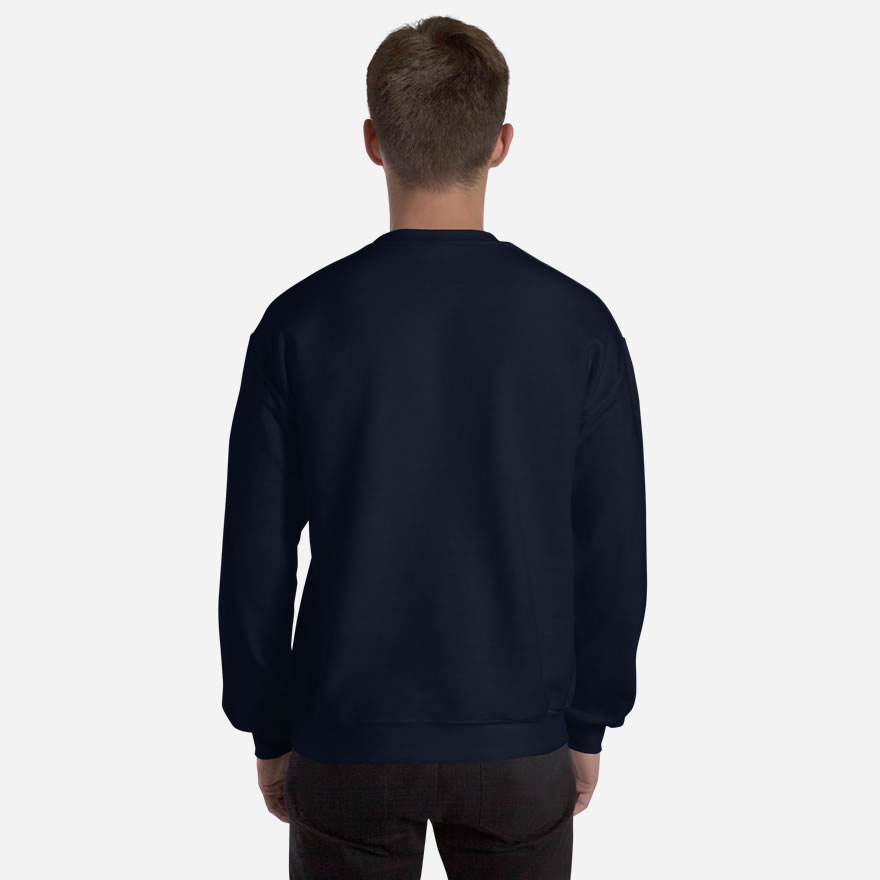 All navy back of Lake Ontario unisex crew neck sweatshirt on model.